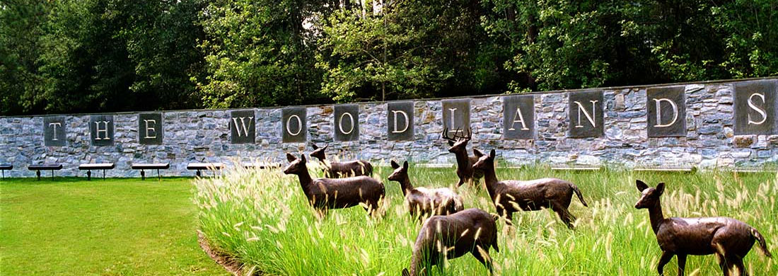 thewoodlands